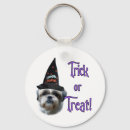 Search for shih tzu accessories Animals