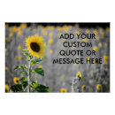 Search for black white sunflower art Nature