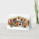 Search for helpers cards Puppy