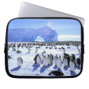 Search for antarctic peninsula electronics Ice