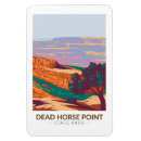 Search for dead magnets Desert