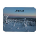 Search for winter blue magnets Forest