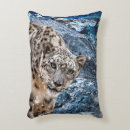 Search for snow leopard wildlife cushions Big cats