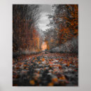 Search for fall trees photography Forest