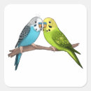 Search for cute budgie stickers Birds