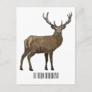 Search for antler vertical postcards Elk