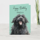 Search for newfoundland dog birthday cards Cute