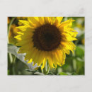 Search for isolated postcards Photography
