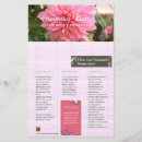 Search for bamboos flyers Spa