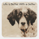 Search for setter stickers English
