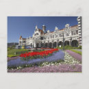 Search for spring flowers postcards Blooming