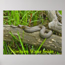 Search for note card posters Travel