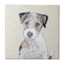 Search for rough tiles Dog