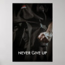 Search for belt posters Taekwondo