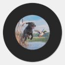 Search for labrador duck stickers Bird dog