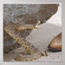 Search for rattle posters Reptile