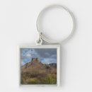 Search for big beautiful key rings Beauty
