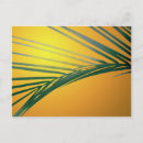 Search for frond postcards Leaf
