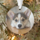 Search for queen christmas tree decorations Canine