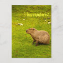 Search for i love america postcards Brazil