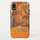 Search for fall colours iphone cases Orange