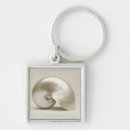 Search for nautilus shell key rings Animal