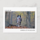 Search for words of wisdom postcards Graduate