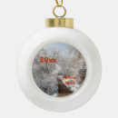 Search for colorado christmas tree decorations Winter