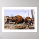 Search for bison posters Nature