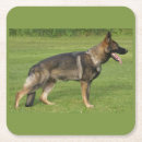 Search for german shepherd coasters Pets