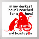 Search for pet adoption posters Shelter