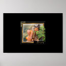 Search for cherokee posters Native