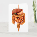 Search for digestive Gut