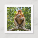 Search for monkey business cards Primate
