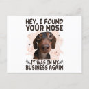 Search for nose postcards Cool