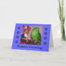 Search for bird pet cards Parrots