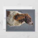 Search for akc postcards Pet