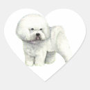 Search for bichon frise dog stickers Canine