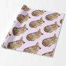 Search for bambi wrapping paper Baby