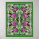 Search for pink orchid posters Floral