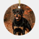 Search for rottie christmas tree decorations Animal