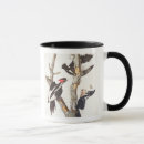 Search for billed mugs Audubon