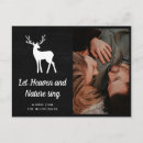 Search for antler horizontal postcards Script