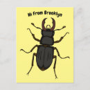 Search for beetle illustration postcards Bug