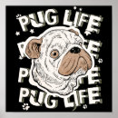 Search for animal activist posters Animal rights activists