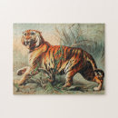 Search for tiger puzzles Animal