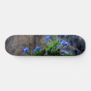Search for still skateboards Flowers