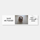 Search for rescue bumper stickers Save
