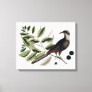 Search for vintage botanical canvas prints Bird