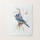 Search for blue jays puzzles Watercolor
